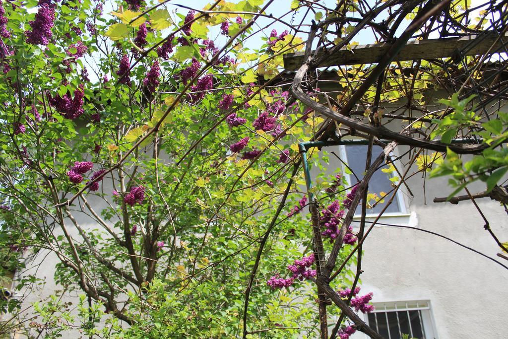 Apartment On Zaliznychna Lemberg Exterior foto